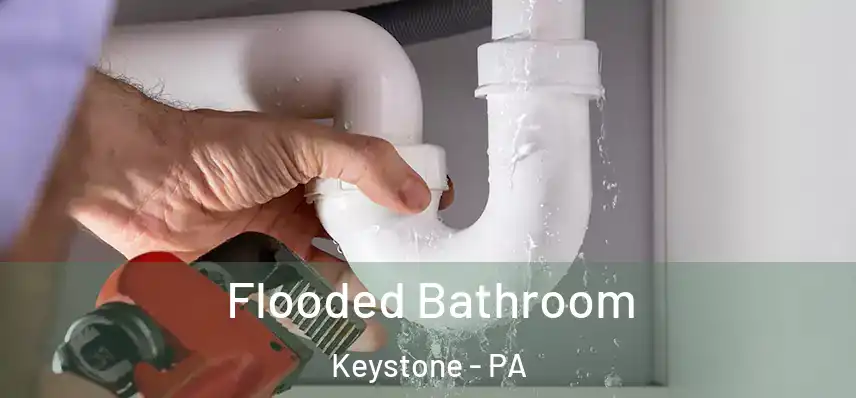  Flooded Bathroom Keystone - PA