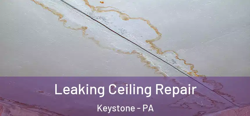  Leaking Ceiling Repair Keystone - PA