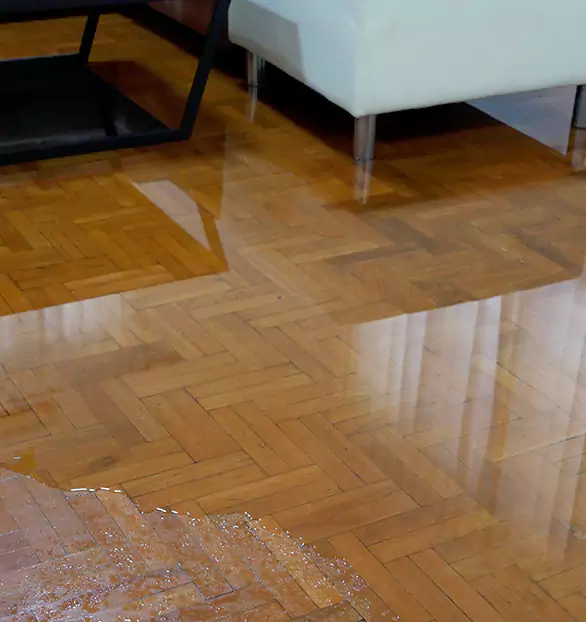 Trusted Emergency Water Restoration Company in Keystone, PA