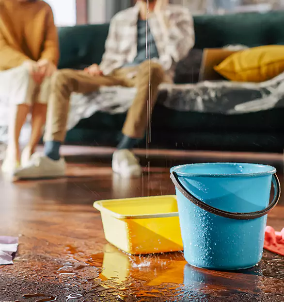 Trusted Water Remediation Company in Keystone, PA