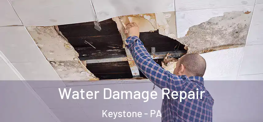  Water Damage Repair Keystone - PA